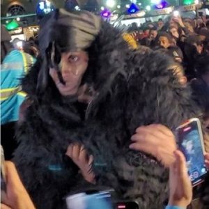 Meet your Posher, Peter